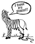 stres zebra caricatura